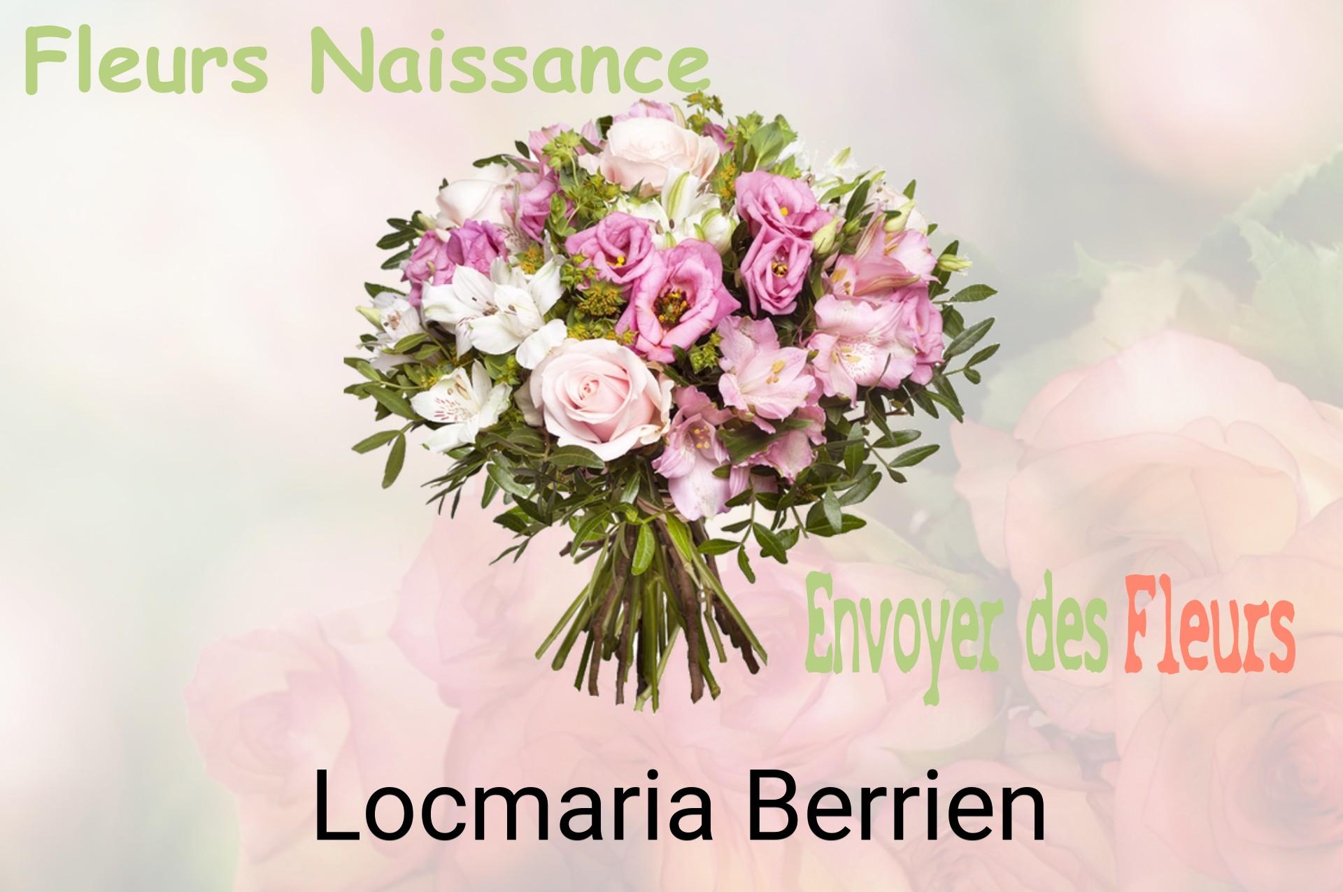 Bouquet de fleurs de naissance livré à Locmaria-Berrien
